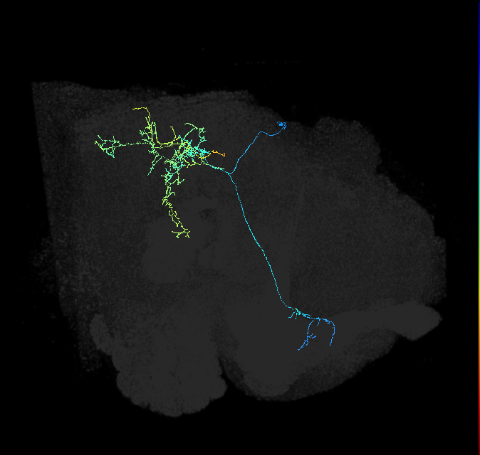 1564136459