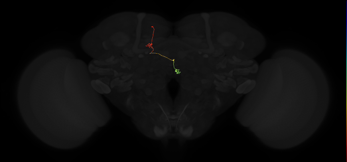 1472537557