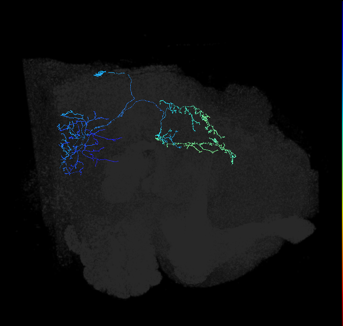 1159715613