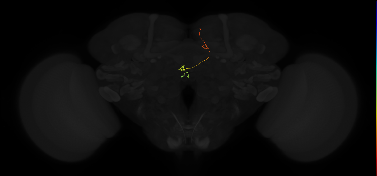 5812991545