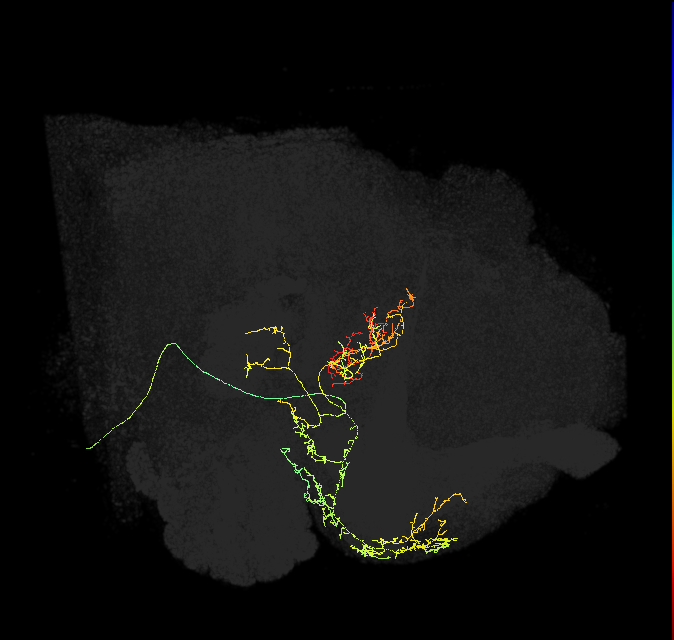 5812983538