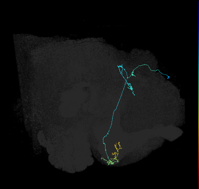 5812982020