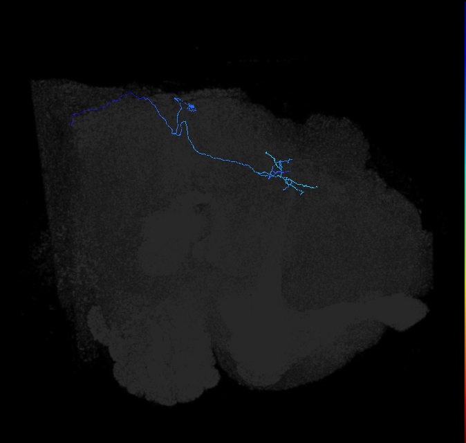 1068924003
