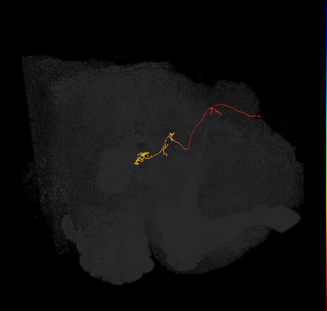 1069757725