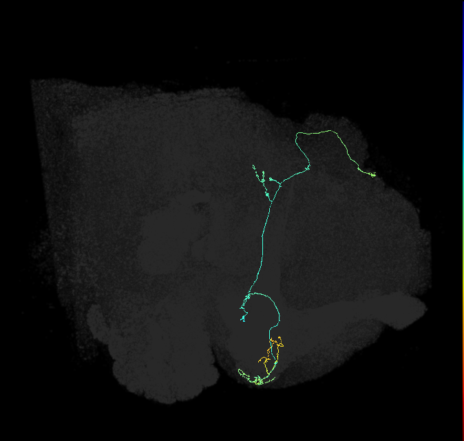 1004514584