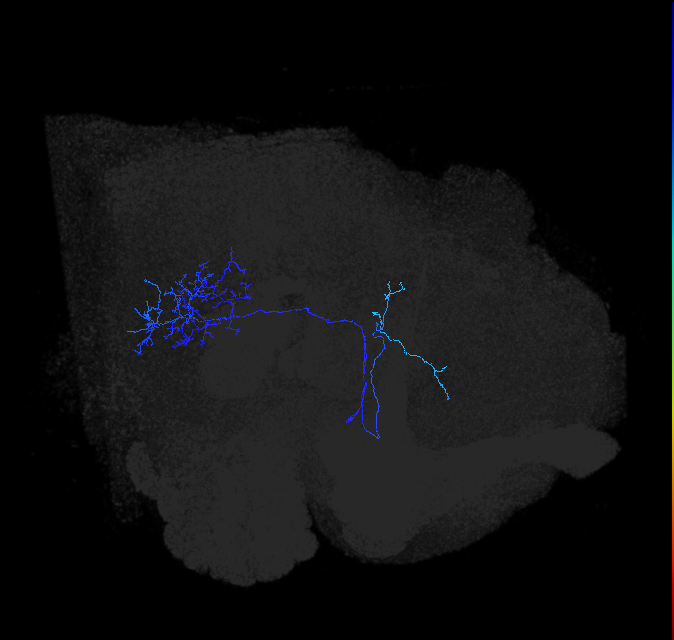 2064040033