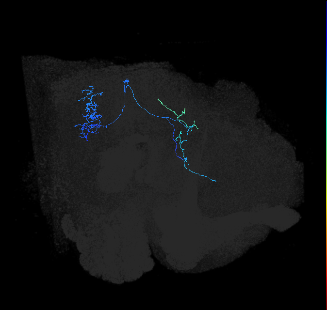 1192434435