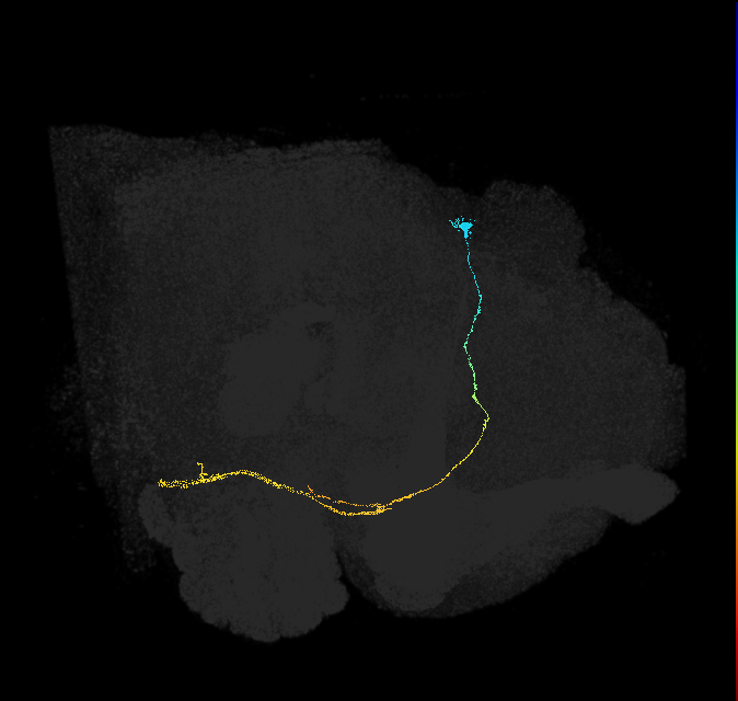 1791391565