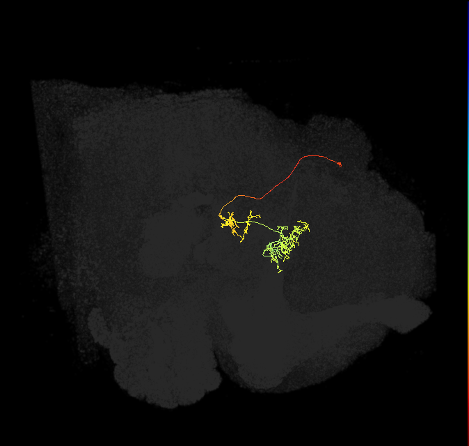 1102450001