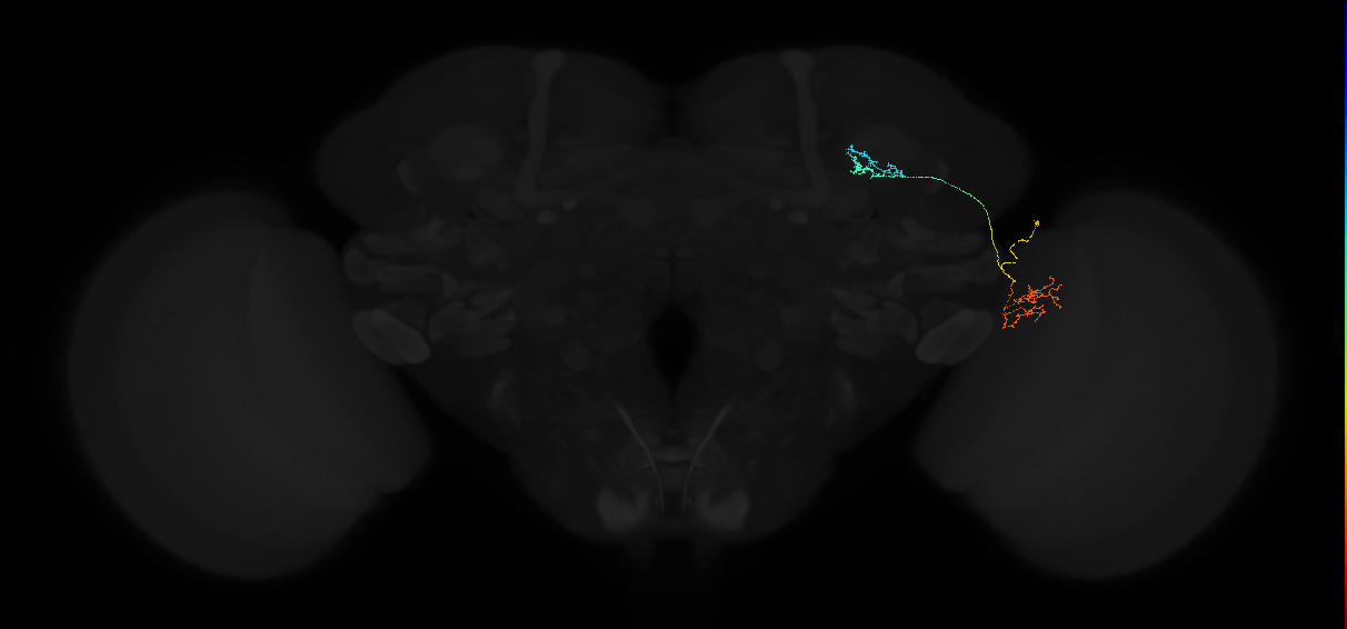 1049174217