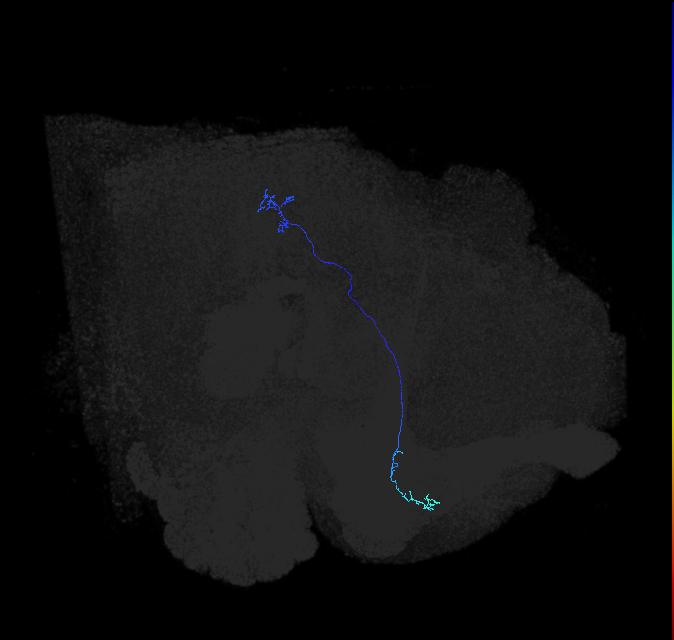 1625804723