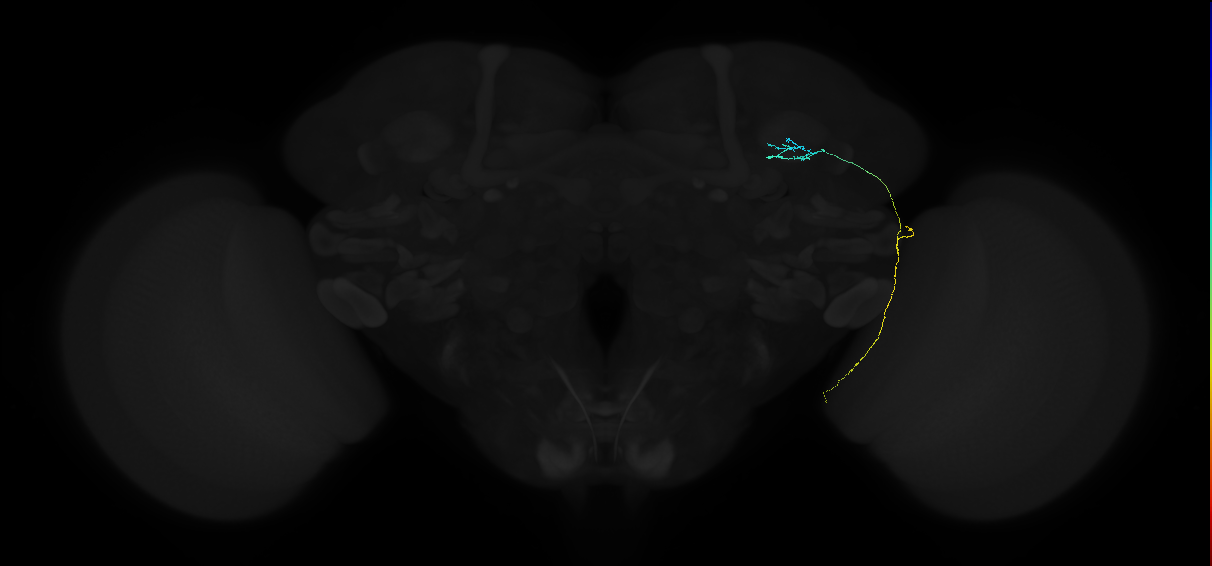 1080537421