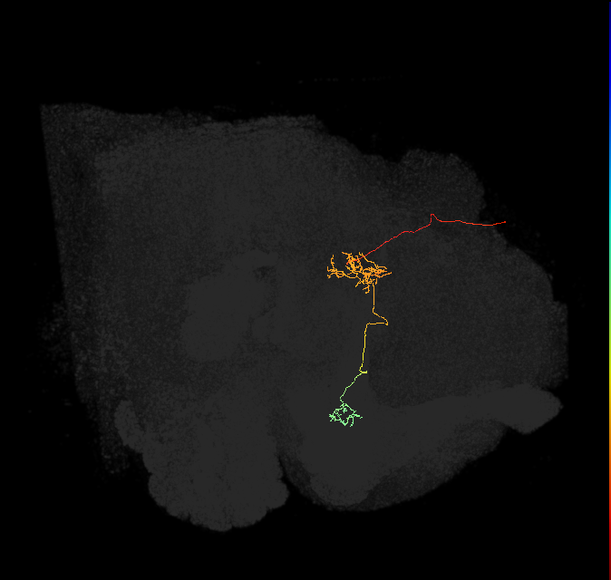 508793106