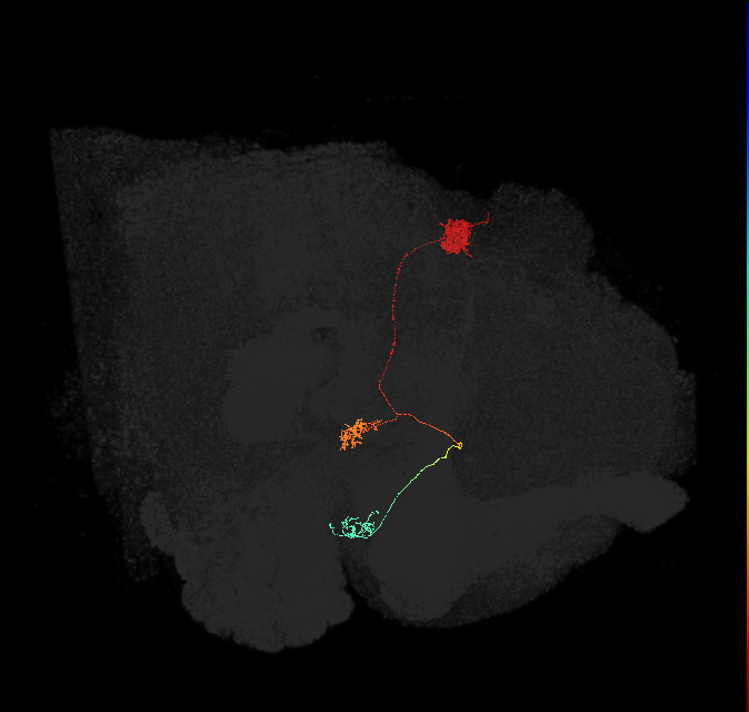 1065409934