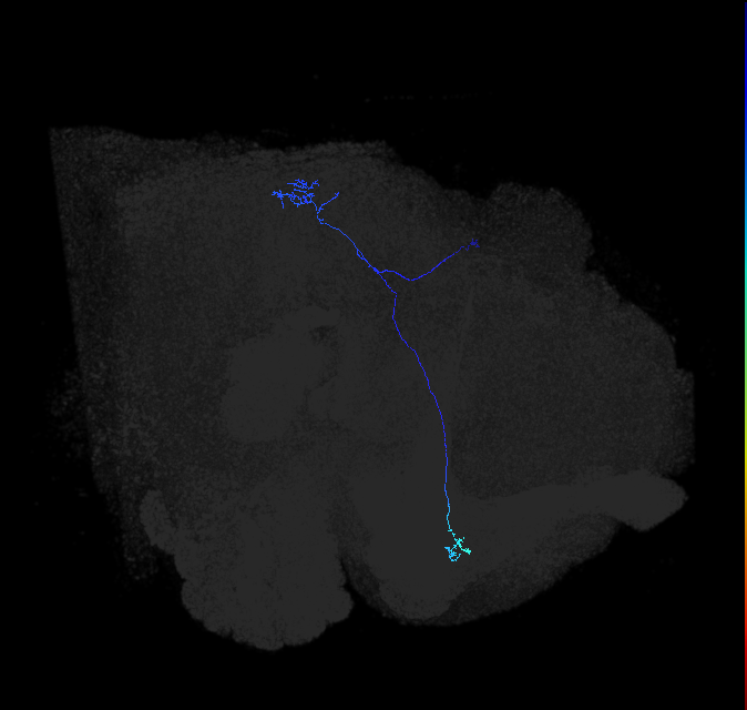 1172623224
