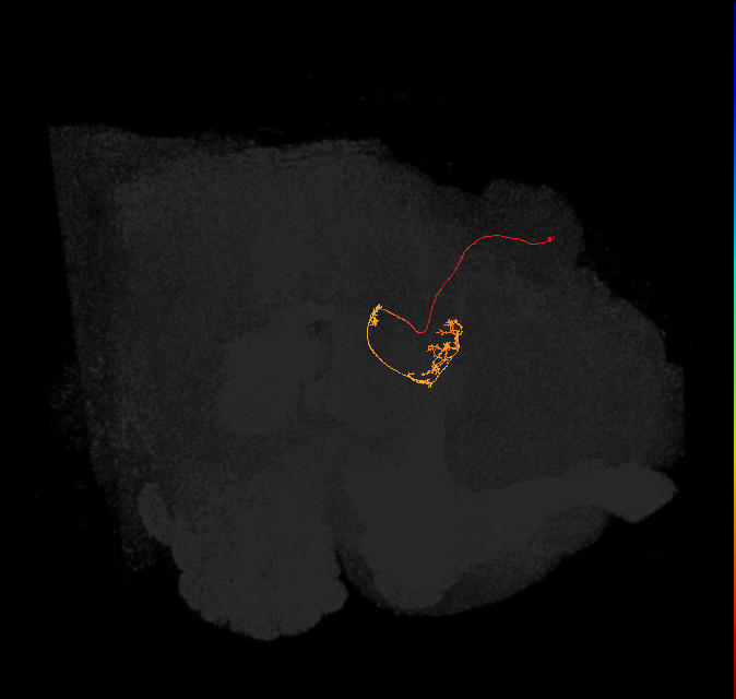 1039076390