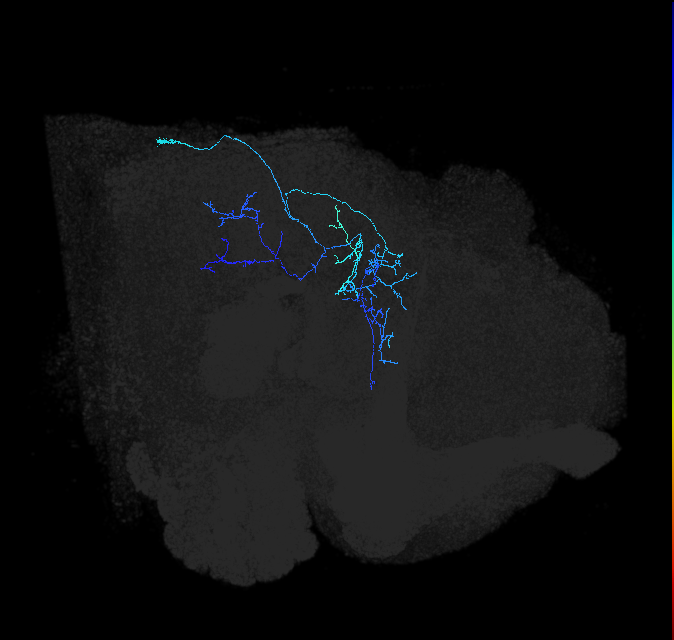 1161688286