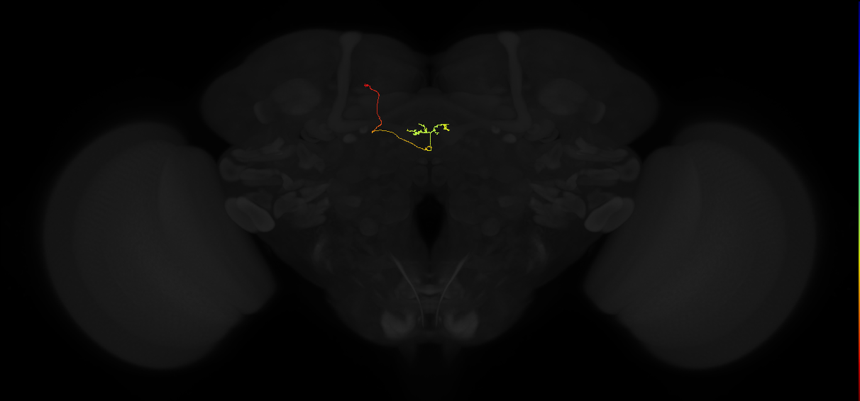 1289725799