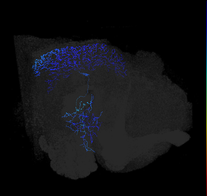 1159555822