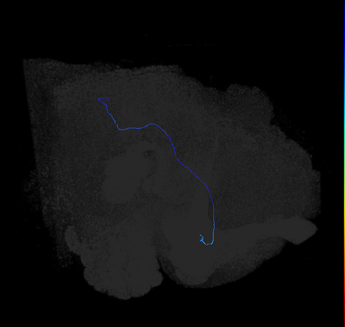 1564758330