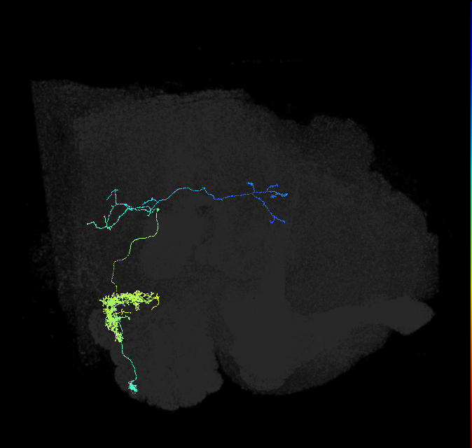 2038617453