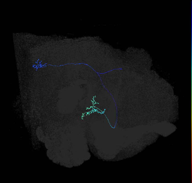 1563393904