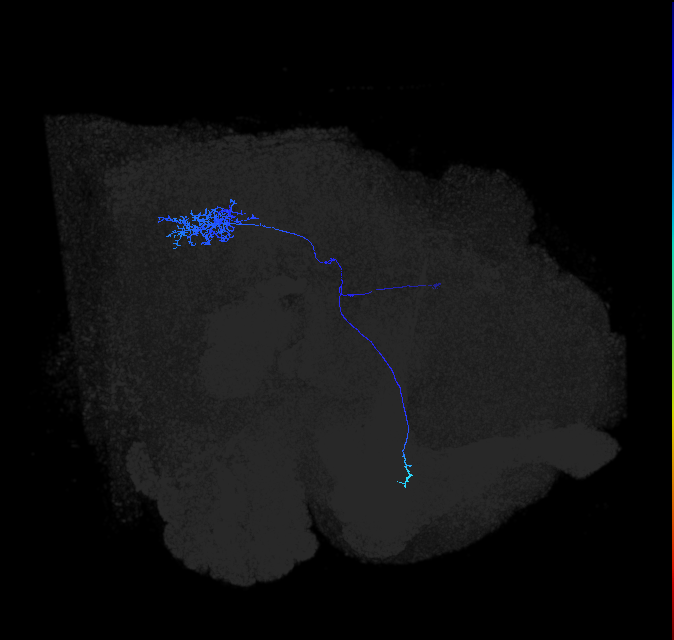 1625804774