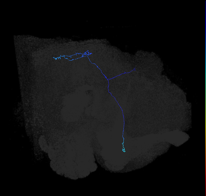 5812993252