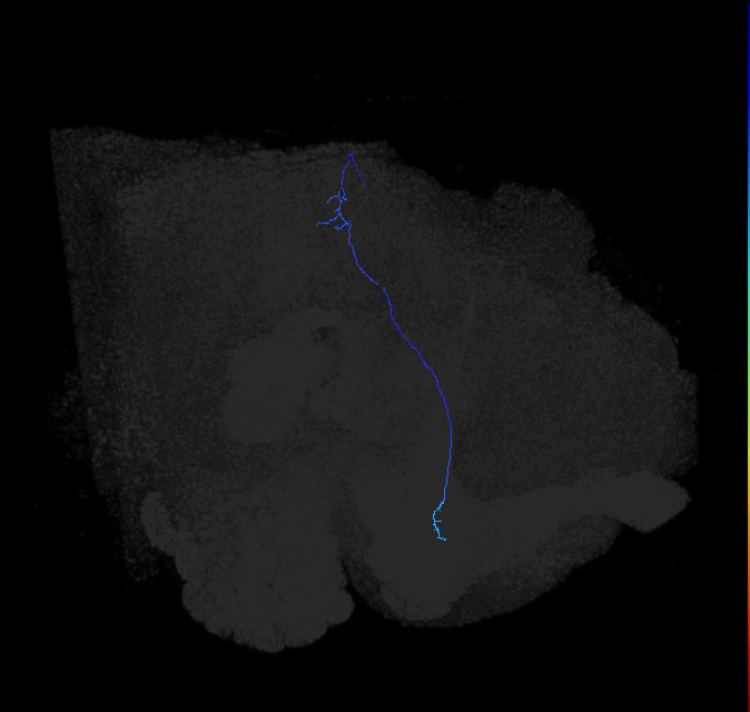 297572076