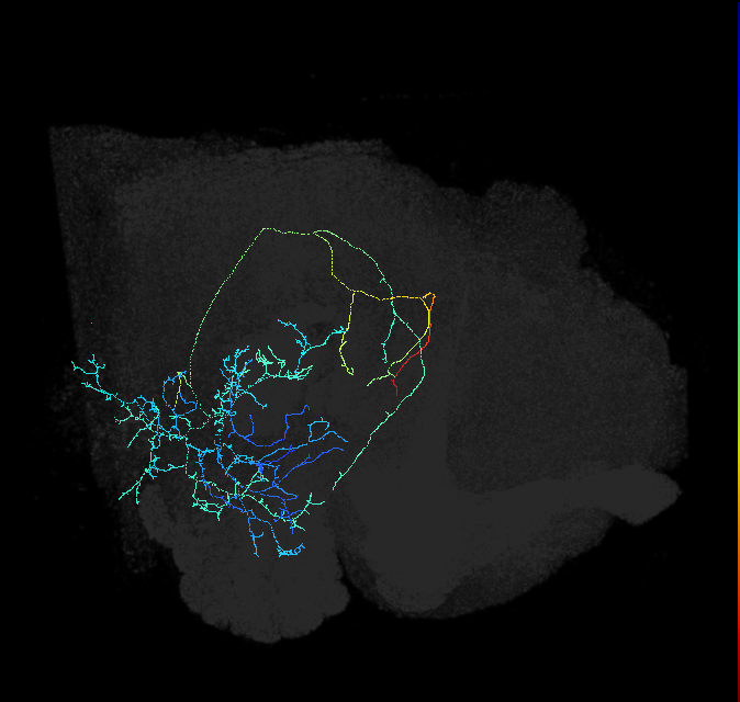 1633686836