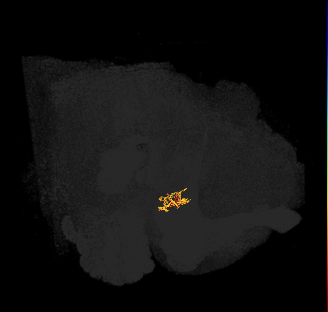 1261764651