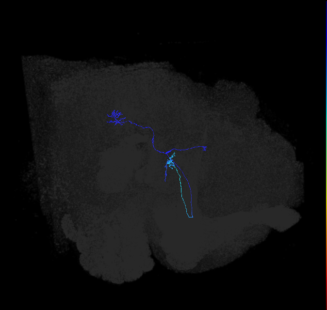 5812989550