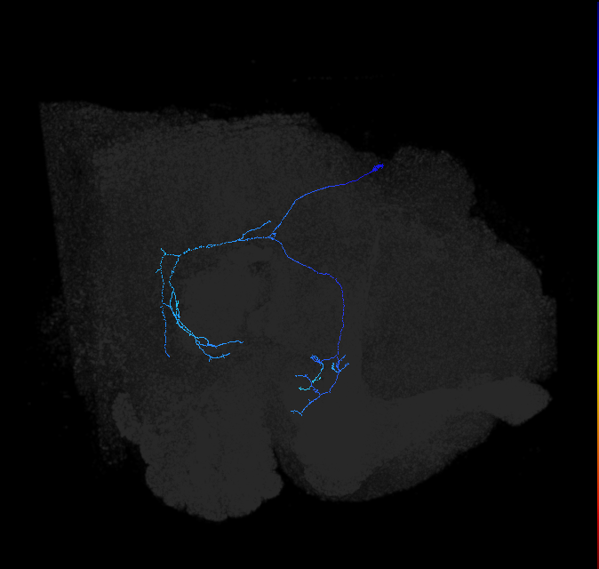 1261592479