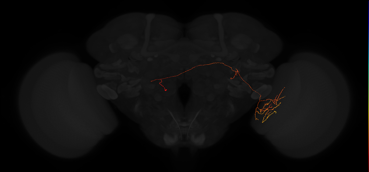 5812989300