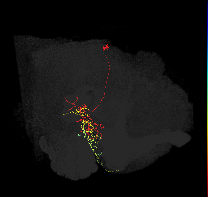 1331311183