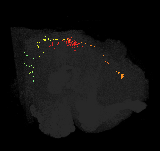 5812990115