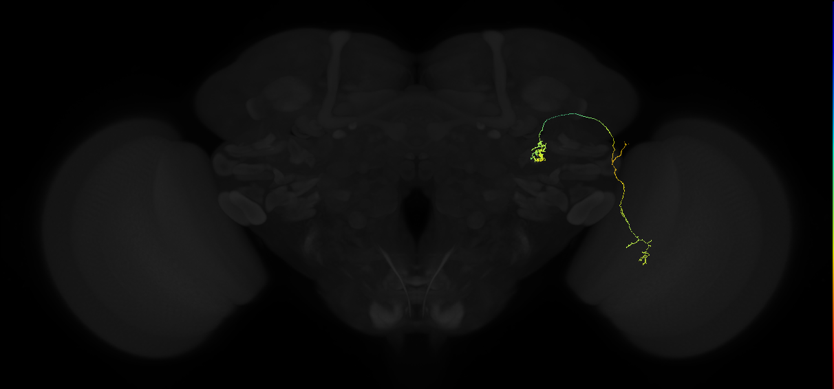 5812989059