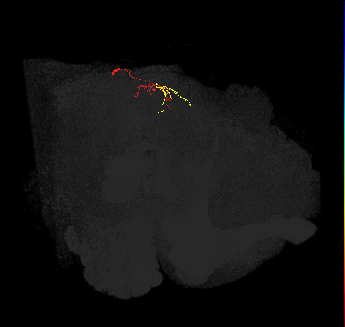 1560596484