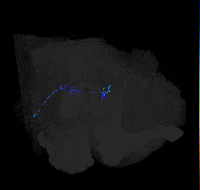 1348580534