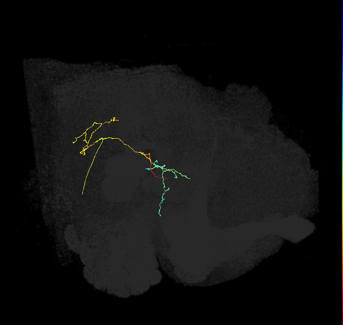 1568616664