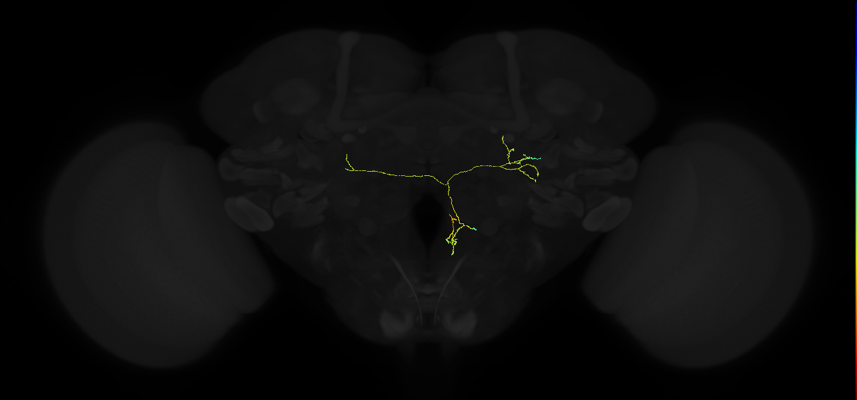 1568616664