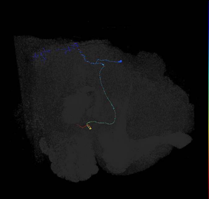 1899956171