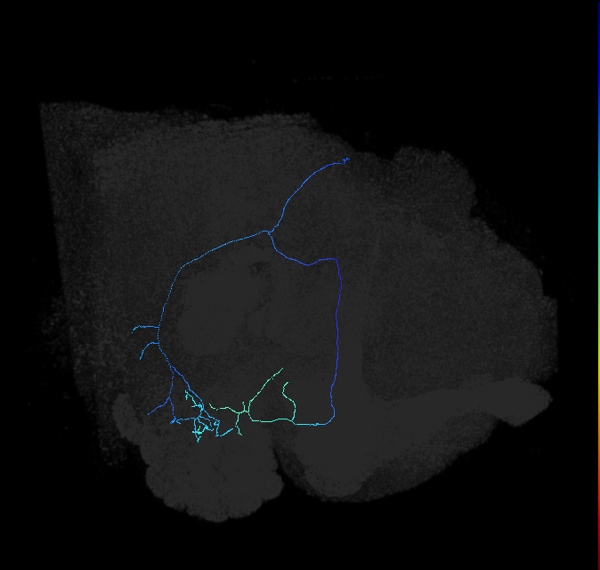 1626513447