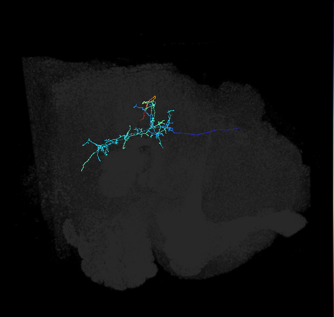 5812990638