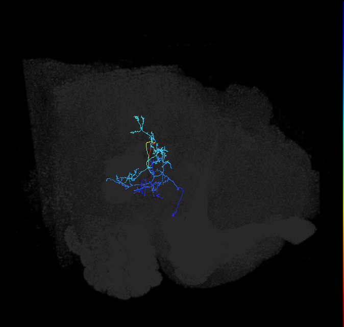 1536486355