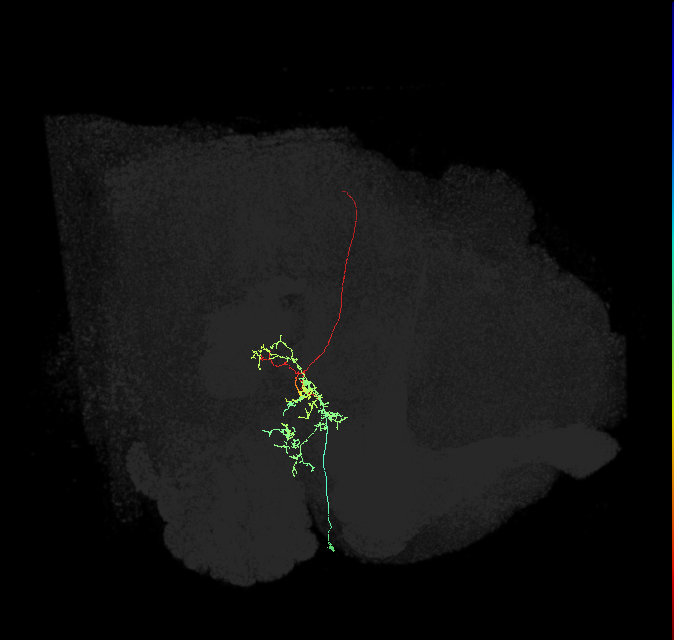 1437492192