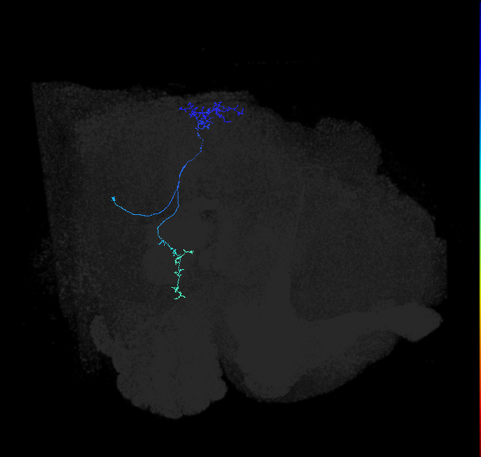 1497205225