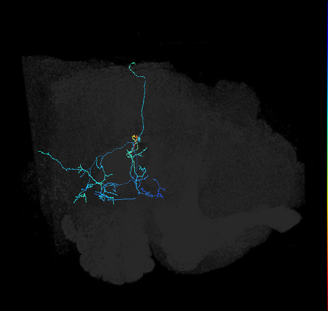 1752046561