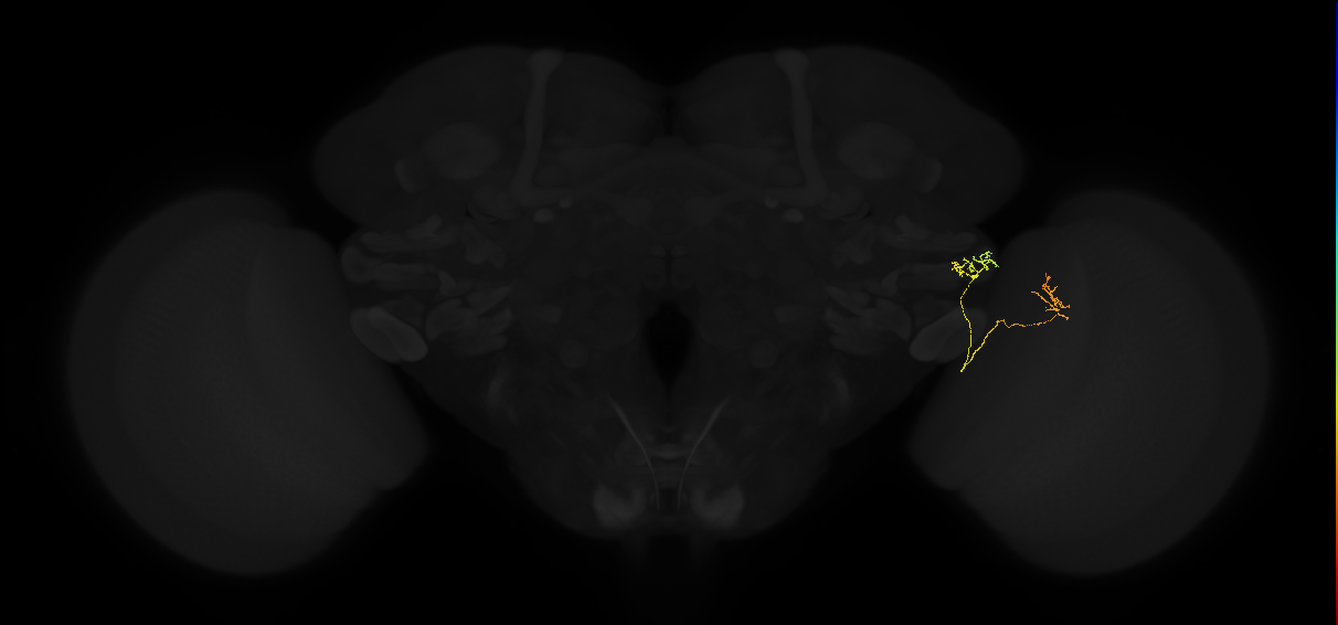 1567145429