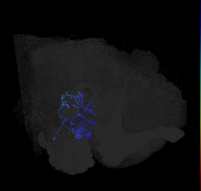 1537802851